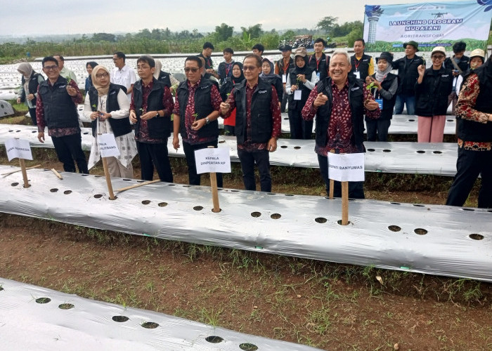 Regenerasi Petani Lewat 