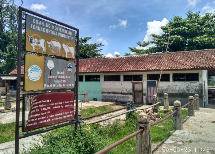 Relokasi Pasar Hewan Ajibarang Tetap Di Ajibarang Kulon