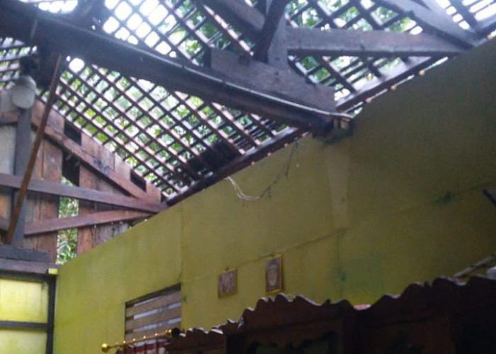 Hujan Deras Disertai Angin Kencang di Purbalingga, Rumah Rusak dan Pohon Tumbang