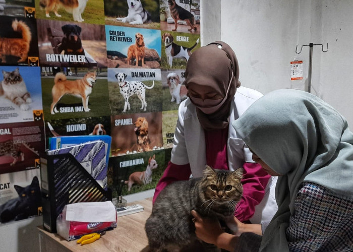 Transaksi di The Pet Gratis Voucher Ampera