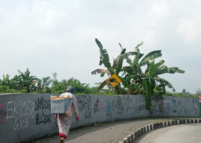 Miris! Banyak Coretan Vandalisme di Dinding Underpass Soedirman Purwokerto. 