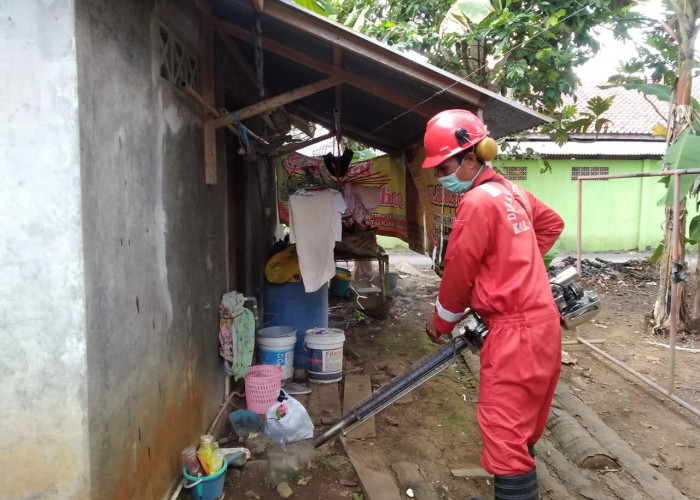 17 Rumah Positif Jentik Aedes Aegypti, Dua RT di Karangjati Kemranjen Difogging