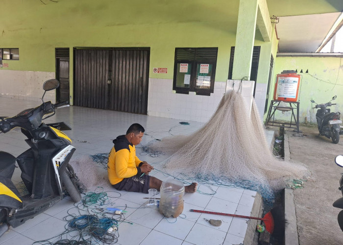 Ancaman Krisis Pangan Laut, Hasil Tangkapan Ikan TPI Sentolo Kawat Anjlok Ratusan Ton di Puncak Panen