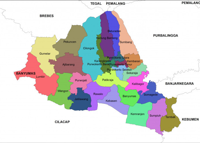 Bawaslu : Penentuan Dapil Harus Berorientasi Pada Pemilih