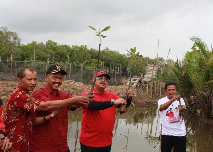 Tanam Mangrove di Cigimbal Park Tritih Kulon, Kaisar Kiasa Ajak Generasi Muda untuk Lestarikan Lingkungan