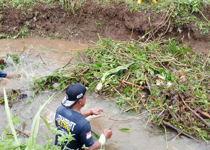 Arus Tersendat, Sawah di Prembun Banyumas Terendam,  40 Hektare Lahan Pertanian Terdampak