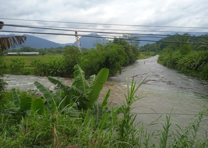 Penghujan, Potensi Erosi Tepian Sungai Klawing Makin Besar