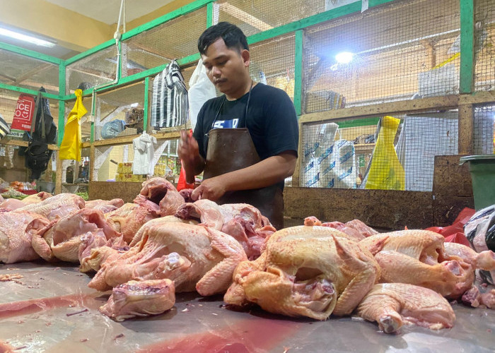 Jelang Nataru, Harga Ayam dan Cabai di Pasar Banjarnegara Alami Kenaikan