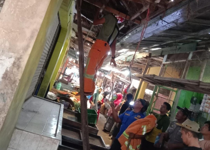 Dua Ular Masuk Kios Pasar Majenang, petugas Damkar Turun Tangan
