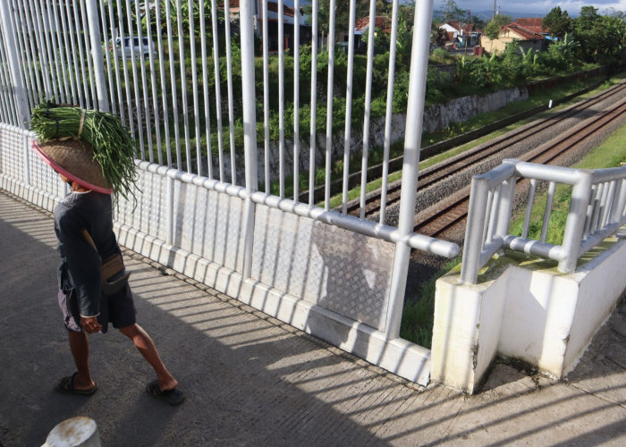 Tercatat, Sejak Awal Tahun Ada 39 Perlintasan Sebidang Tidak Dijaga di Wilayah Daop 5 Purwokerto