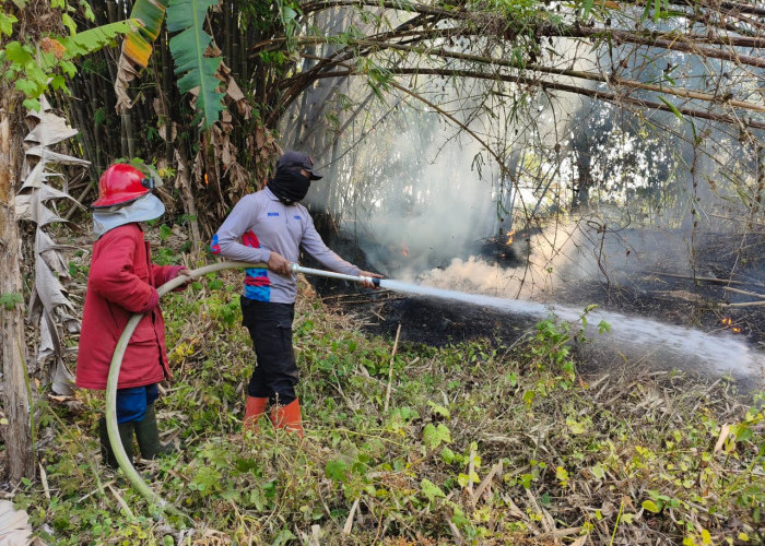 Kebakaran Lahan Banyumas Capai 49 Kasus, Awal September Bertambah 11 Kejadian