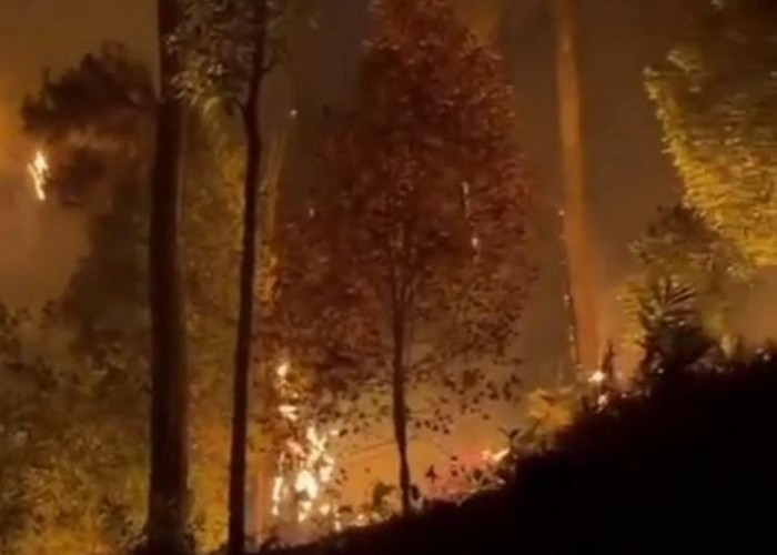 BREAKING! Hutan Lowo Ijo di Desa Langkap Purbalingga Terbakar