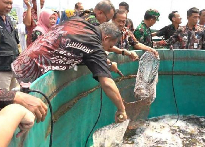 Desa Dagan Sukses Budidayakan Ikan Nila dengan Sistem Bioflok
