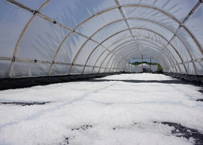 Warga Harap Kampung Garam Tanggulangin Bangkit Kembali