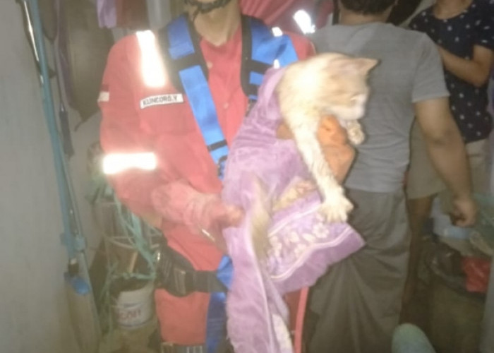 Dramatis, Damkar Selamatkan Kucing Dari Sumur Sedalam 25 Meter di Majenang