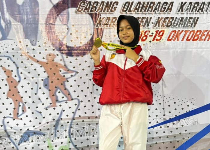 Wakili Kabupaten di Tingkat Provinsi