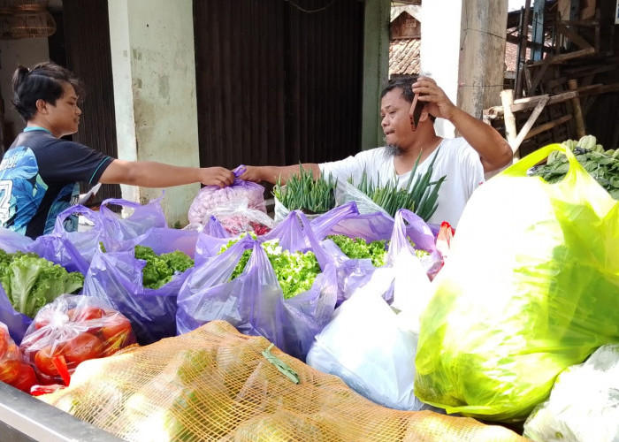 Komoditas Holtikultura Terserap MBG, Stok Aman