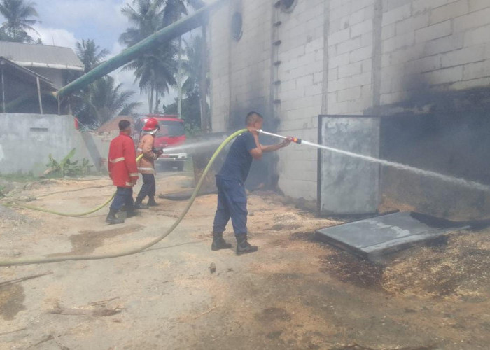 Pabrik Pengolahan Serbuk Kayu di Jatilawang, Banyumas Terbakar, Pemilik Rugi Rp 20 Juta 