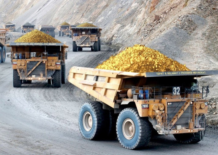 6 Fakta Grasberg di Papua, Tambang Emas Terbesar di Indonesia