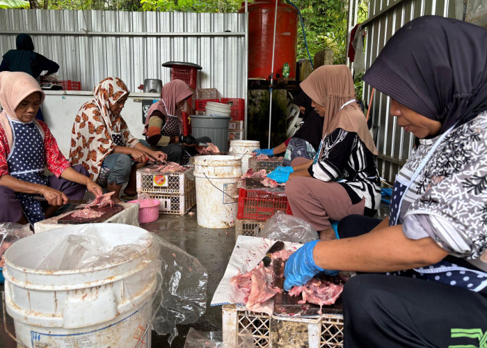 Limbah Kepala Ayam Jadi Berkah Penggerak Ekonomi BUMDes Gunungjati