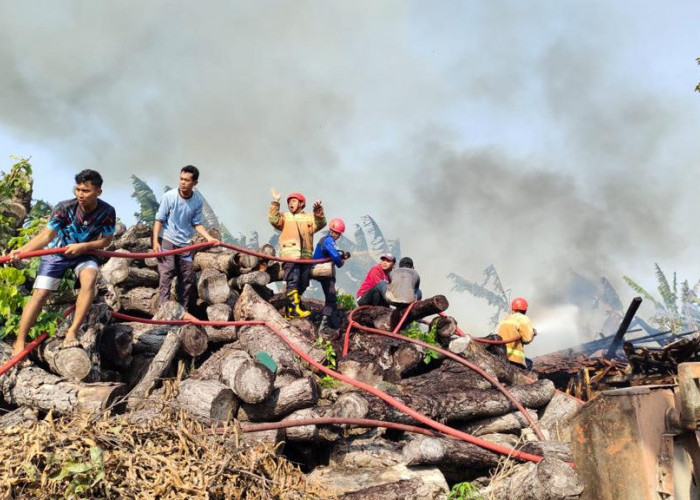 Akibat Bakar Limbah Sampah, Gudang Kayu di Doplang Terbakar 