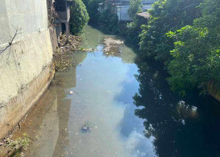 173,9 Ha Permukiman Masuk Kategori Kumuh, Tersebar di 112 Titik di 7 Kecamatan