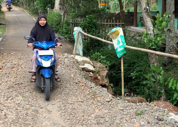 Ruas Jalan Rusak Parah Hingga Truk Terguling, Kepala Desa Tamansari Mulai Perbaikan Tahun Ini