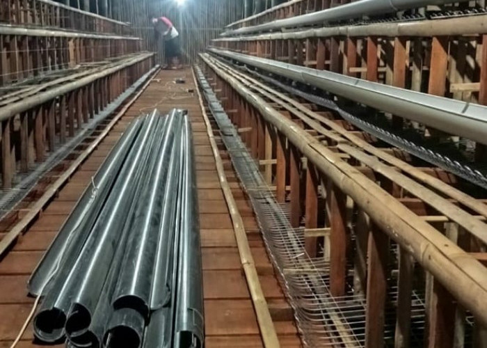 Pesanan Kandang Ayam Petelur di Banyumas Ramai, Permintaan Tinggi Seiring Kebutuhan Telur MBG