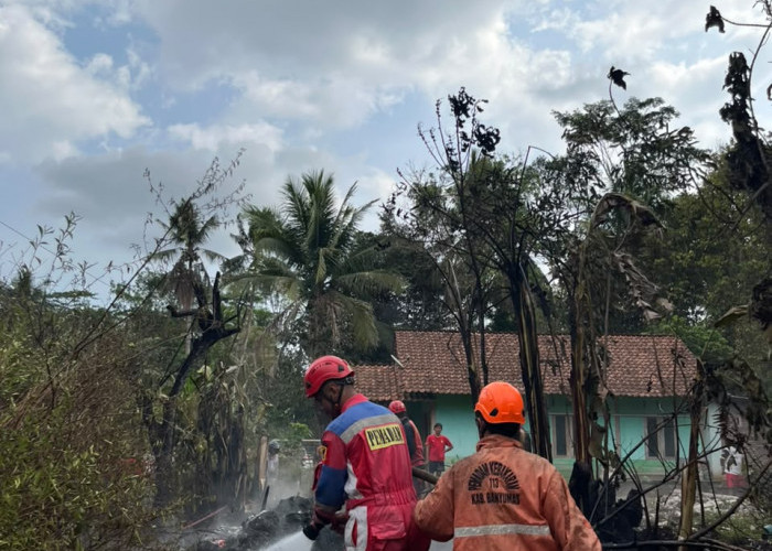Dua Kebakaran Terjadi di Banyumas dalam Sehari, Lahan Bambu dan Tumpukan Rongsok Dilalap Api