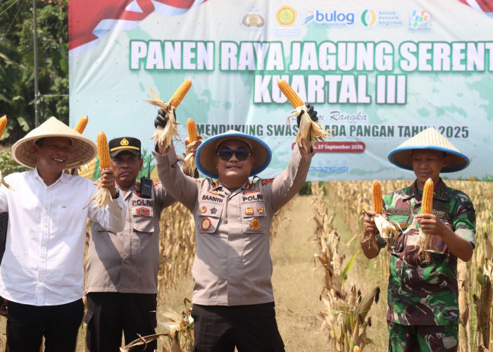 Desa Bocor Jadi Lokasi Panen Raya Jagung