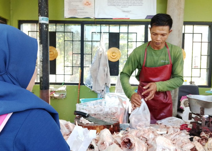 Harga Ayam di Banyumas Turun ke Rp27 Ribu, Permintaan Kuliner Tetap Tinggi