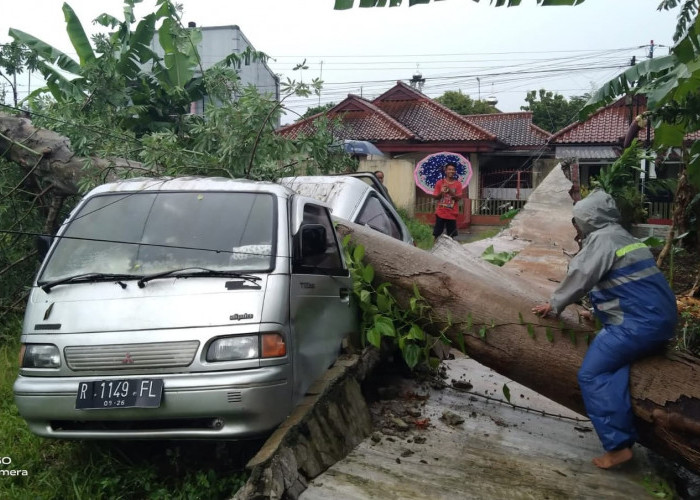 Hujan Deras Disertai Angin Kencang, Satu Mobil Rusak Tertimpa Pohon