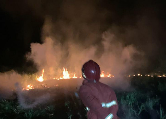 Sejak Awal Agustus, 13 Kebakaran Lahan Terjadi di Purbalingga