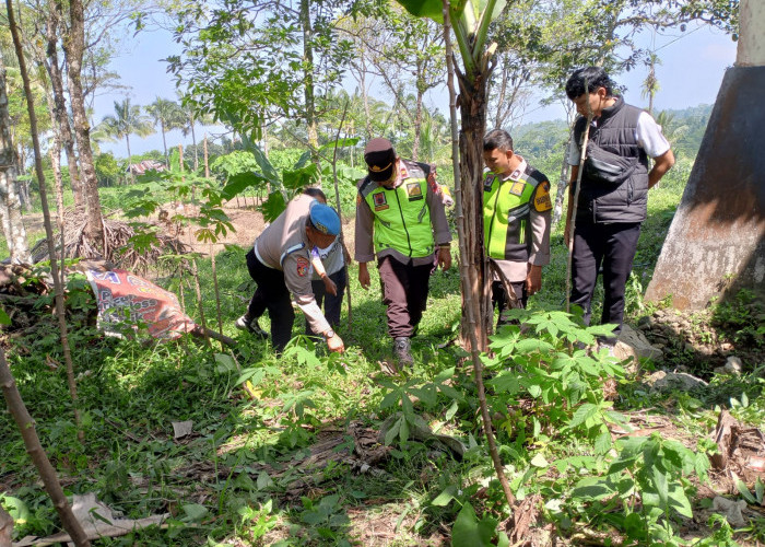 Kadus Sangkanayu Tewas Dianiaya Tetangga Saat Garap Ladang, Pelaku Diduga ODGJ