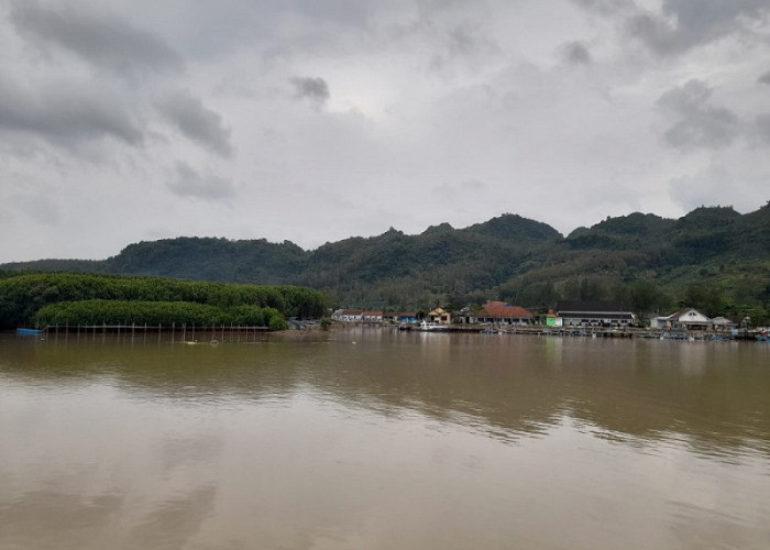 Pendangkalan Sungai Ijo Nusawungu Makin Parah