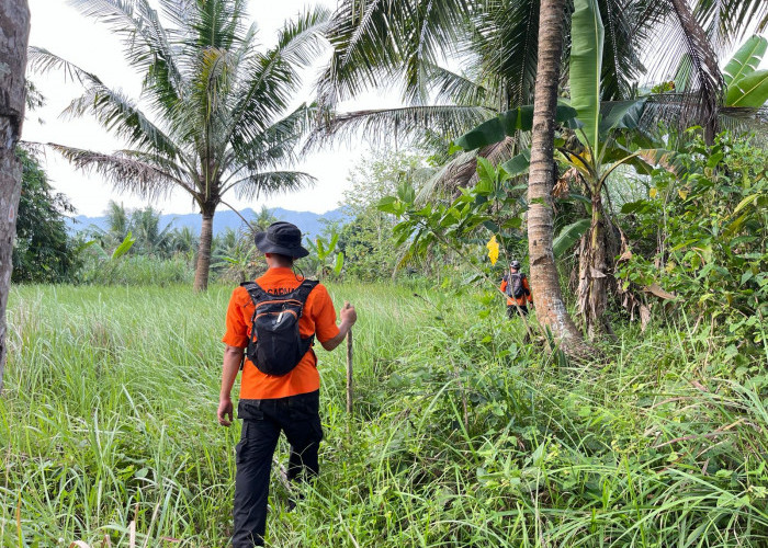 Warga Cimanggu yang Hilang di Hutan Nambo Girang, Akhirnya Ditemukan Selamat