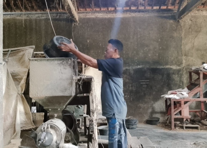 Petani Banyumas Cemas Stok Gabah Menipis, Kemarau Panjang dan Wereng Ancam Panen Berikutnya