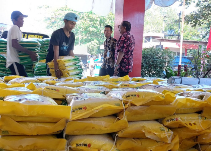 210 Ton Beras OP Didistribusikan, Belum Mampu Stabilkan Harga di Pasaran