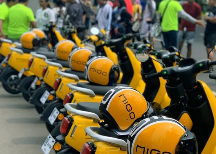 6 Perawatan Mudah Migo Electric: Motor Listrik Murah di Kelasnya