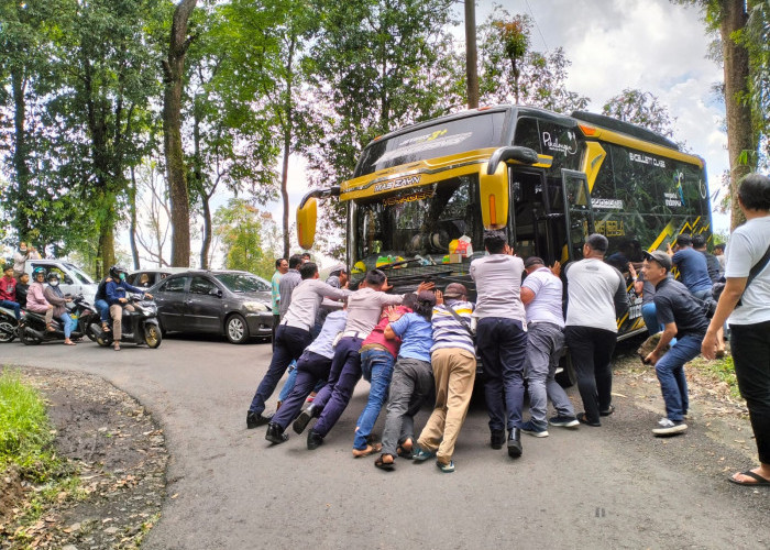 Bus Mogok Kehabisan BBM Sebabkan Kemacetan di Jalur Wisata Hutan Limpakuwus