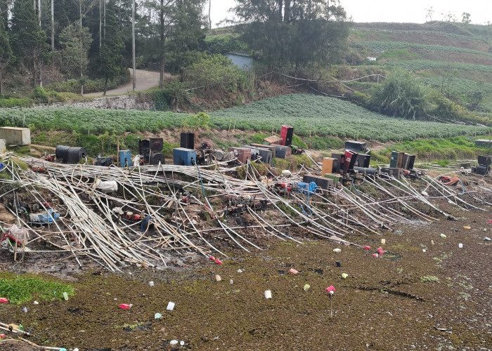 Cegah Tanaman Kentang Agar Tidak Mati, Ratusan Petani di Dieng Banjarnegara Sedot Air Telaga