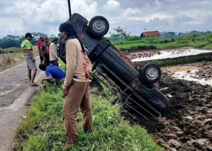 Rem Blong, Pick Up Nyungsep ke Sawah di Cipete