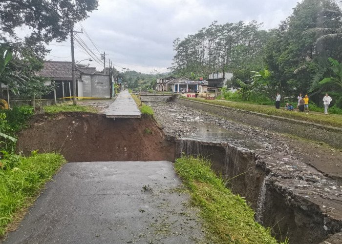 Tanggul Irigasi Siwuluh Jebol di Banjarnegara, Lahan Pertanian Terancam Kekeringan
