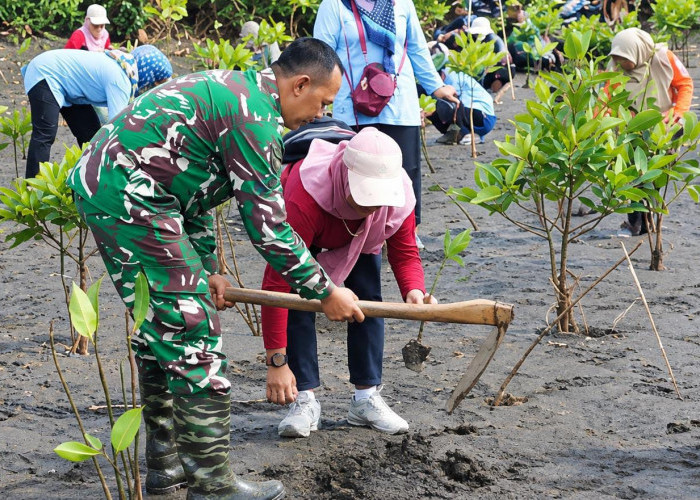 Cegah Abrasi, 1.000 Mangrove dan Kopi Liberika Ditaman di Pantai Sodong Cilacap