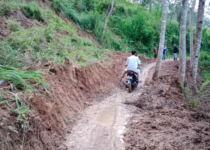 Tebing Longsor, Akses Dua Dusun di Karangpucung Cilacap Tertutup