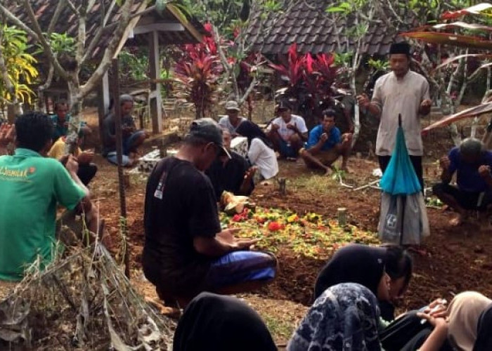 Nenek di Banjarnegara Meninggal Setelah Diserang Tawon Vespa