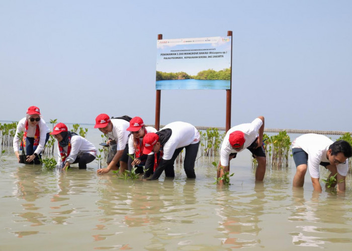 AHM Perkuat Upaya Penyerapan Karbon untuk Mitigasi Perubahan Iklim dengan Menanam Ribuan Pohon