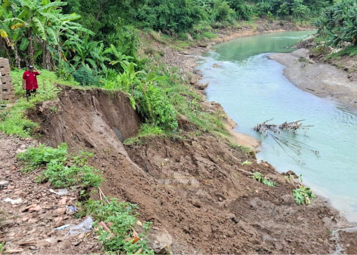 Tanggul Sungai Lukulo Tergerus, Tiga Titik Alami Longsor