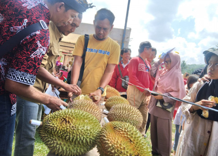 Tiga Tahun Produktivitas Turun, Tahun Ini Durian Lokal Purbalingga Panen Raya