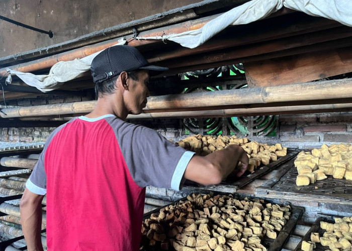 Harga Kedelai Impor Naik, Pendapatan Perajin Tahu Banjarnegara Turun hingga 40 Persen